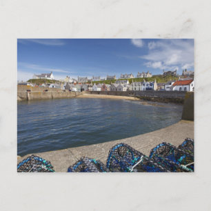 Harbour, Findochty, Moray, Scotland, United Postcard