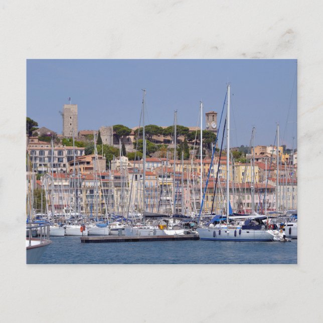 Harbour of Cannes in France Postcard (Front)