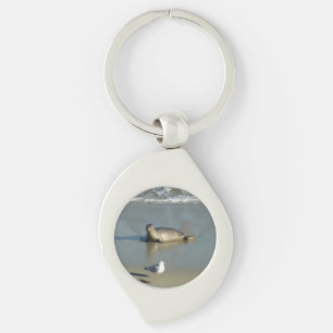 Harbour Seal at La Jolla California Key Ring