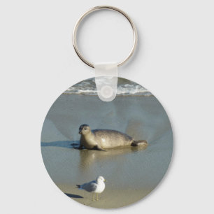Harbour Seal at La Jolla California Key Ring