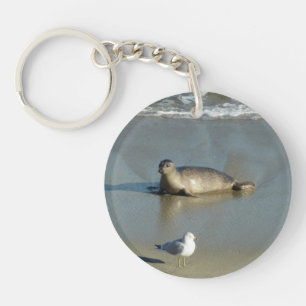 Harbour Seal at La Jolla California Key Ring