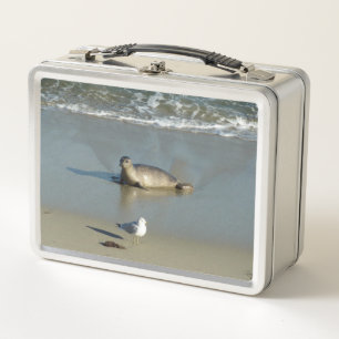 Harbour Seal at La Jolla California Metal Lunch Box