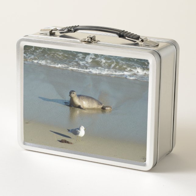 Harbour Seal at La Jolla California Metal Lunch Box (Front)