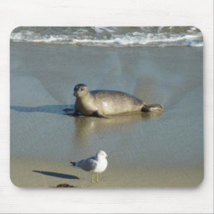 Harbour Seal at La Jolla California Mouse Mat