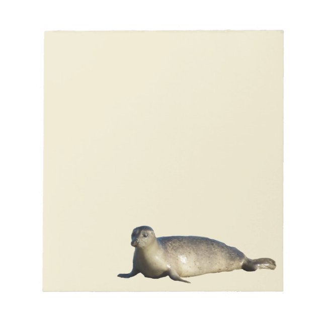 Harbour Seal at La Jolla California Notepad (Front)