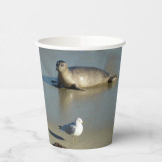 Harbour Seal at La Jolla California Paper Cups