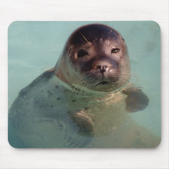 Harbour Seal Mouse Pad (Front)