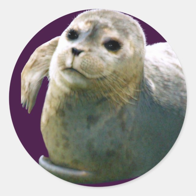 HARBOUR-SEAL PUP Wildlife-supporter Sticker (Front)