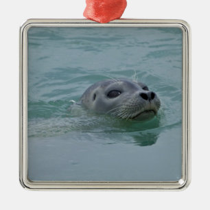 Harbour Seal swimming in Jokulsarlon glacial lake Metal Tree Decoration