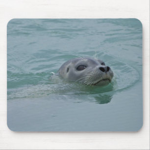 Harbour Seal swimming in Jokulsarlon glacial lake Mouse Mat