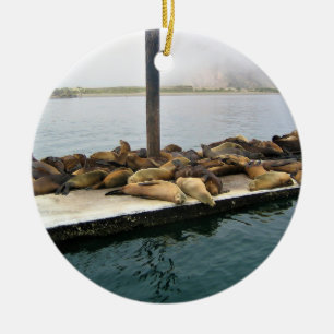 Harbour Seals, Morro Bay, California Ceramic Tree Decoration
