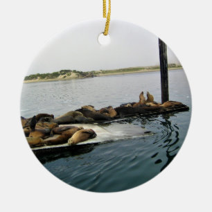 Harbour Seals, Morro Bay, California Ceramic Tree Decoration