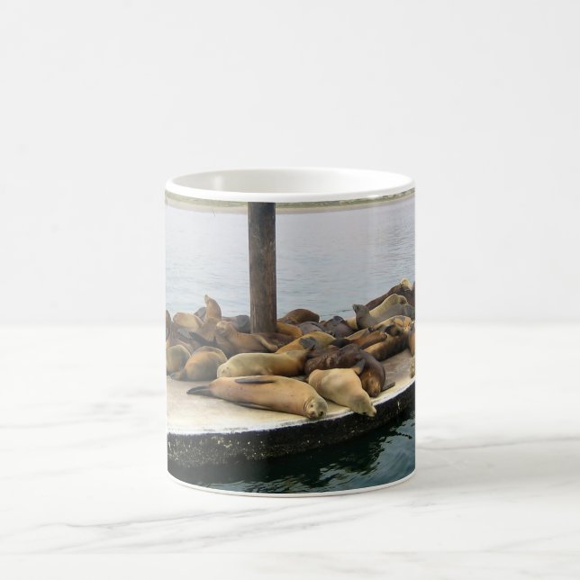 Harbour Seals, Morro Bay, California Coffee Mug (Center)