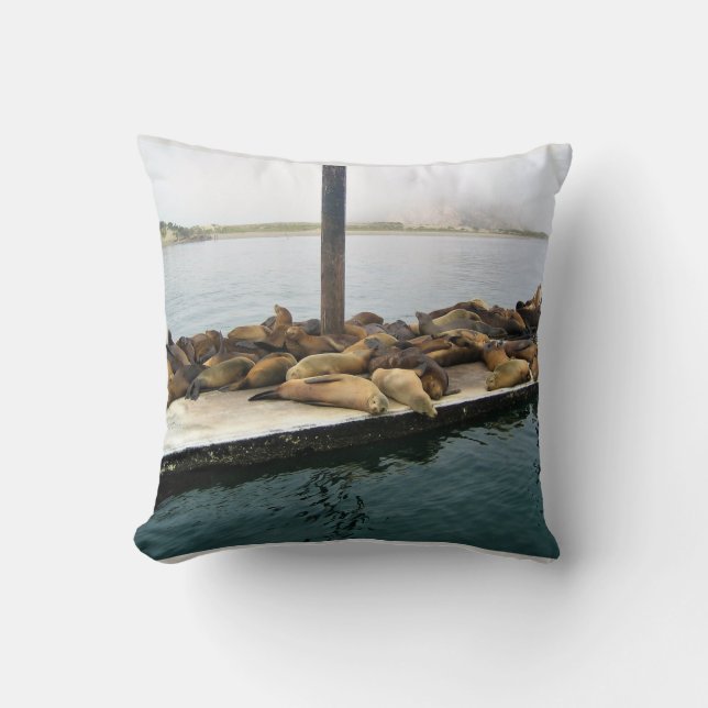 Harbour Seals, Morro Bay, California Cushion (Front)