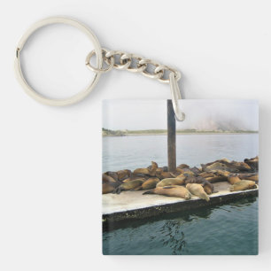 Harbour Seals, Morro Bay, California Key Ring