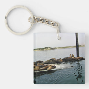 Harbour Seals, Morro Bay, California Key Ring