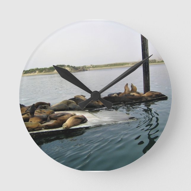 Harbour Seals, Morro Bay, California Round Clock (Front)