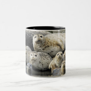 Harbour Seals Two-Tone Coffee Mug