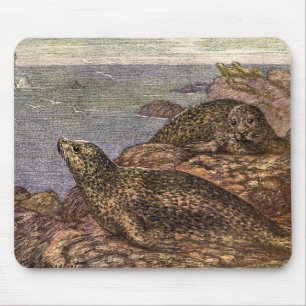 Harbour Seals, Vintage Marine Life Ocean Animals Mouse Mat