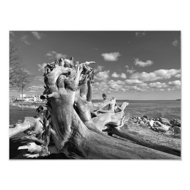 Harbour View - Plymouth, Massachusetts Photo Print (Front)