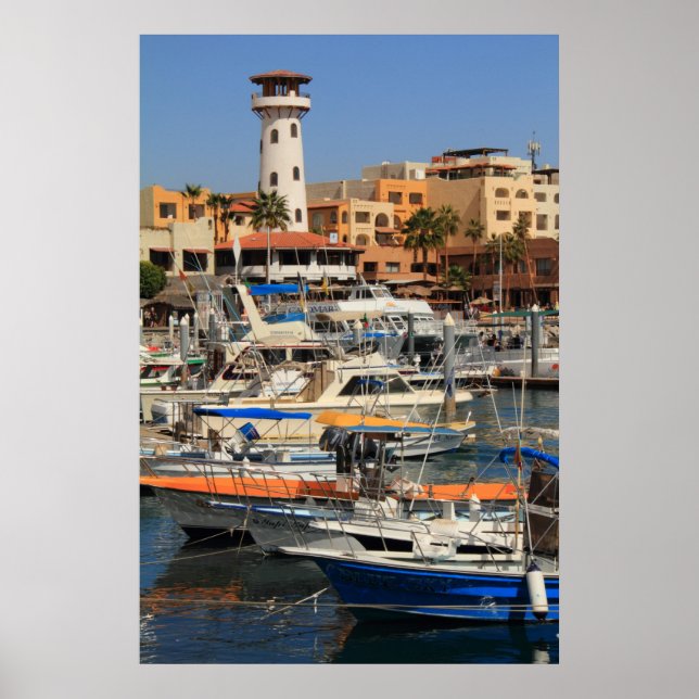 Harbour waterfront in Cabo San Lucas Poster (Front)