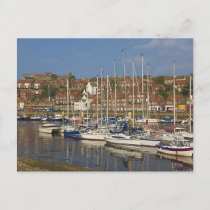 Harbour, Whitby, North Yorkshire, England Postcard