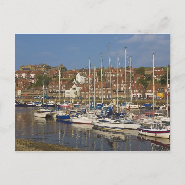Harbour, Whitby, North Yorkshire, England Postcard (Front)