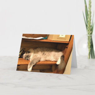 Hard Day at the Office, card