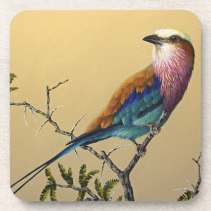 Hard Plastic Coaster