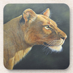 Hard Plastic Coaster