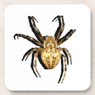 Hard plastic coaster