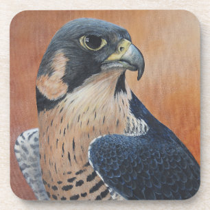 Hard Plastic Coaster