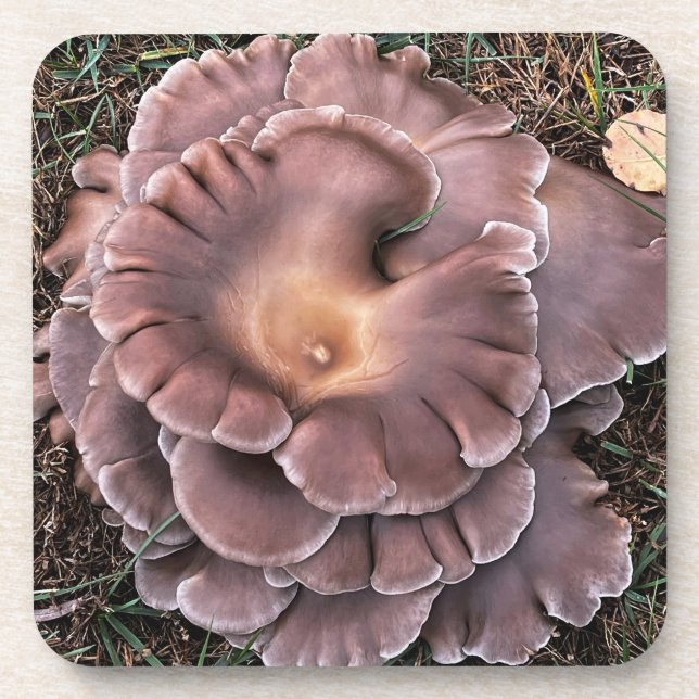 Hard plastic coaster Fungi (Front)