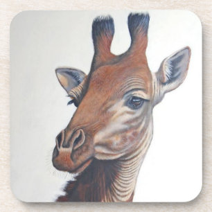 Hard Plastic Coasters