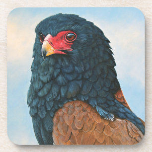 Hard Plastic coasters