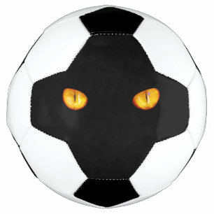 Hard Stare of Golden Bombay Cat Eyes Football