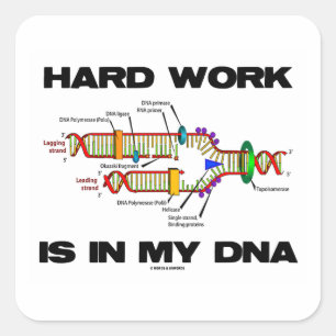 Hard Work Is In My DNA (DNA Replication) Square Sticker