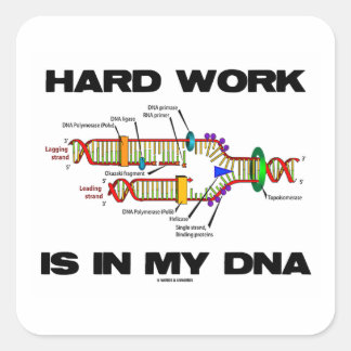 Hard Work Is In My DNA (DNA Replication) Square Sticker