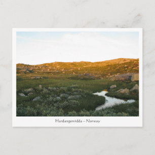 Hardangervidda Norway Postcard