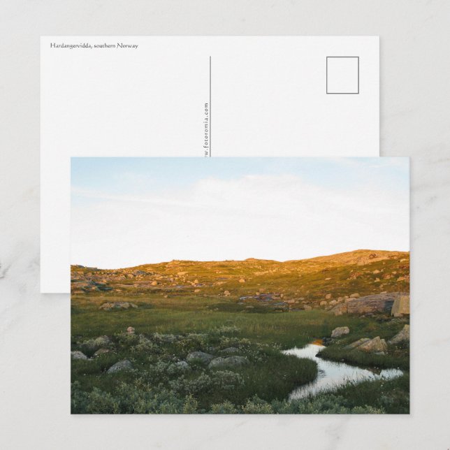 Hardangervidda Norway Postcard (Front/Back)