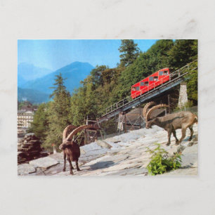 Harder Kulm Funicular Railway, Interlaken Postcard
