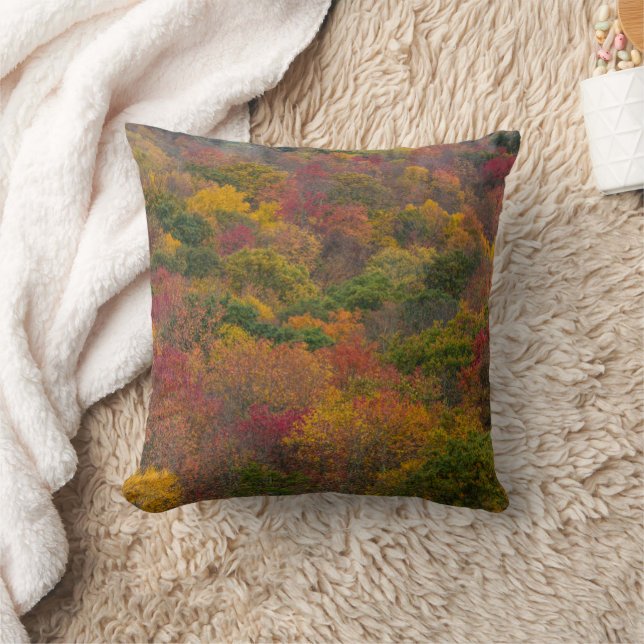Hardwood Forest in Randolph County, West Virginia Cushion (Blanket)