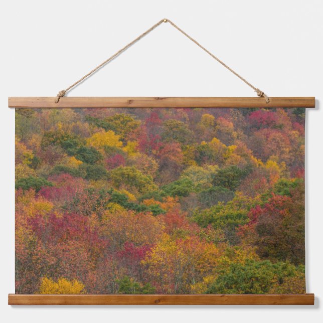 Hardwood Forest in Randolph County, West Virginia Hanging Tapestry (Front)