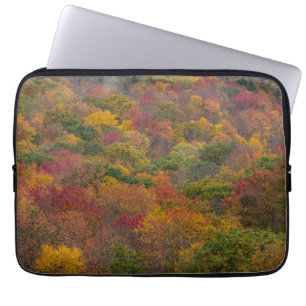 Hardwood Forest in Randolph County, West Virginia Laptop Sleeve