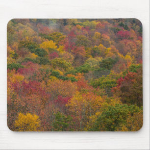 Hardwood Forest in Randolph County, West Virginia Mouse Mat