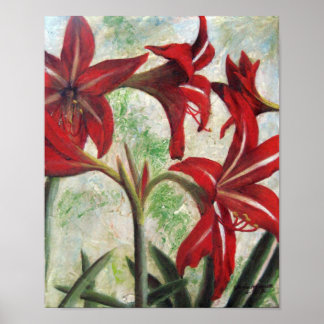 Hardy Amaryllis Poster
