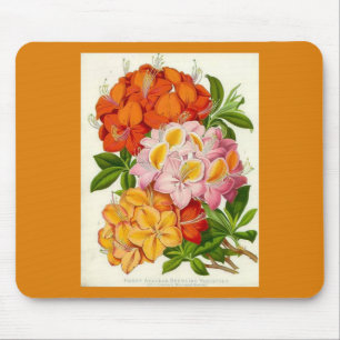 "Hardy Azaleas" by Sir Joseph Paxton Mouse Mat