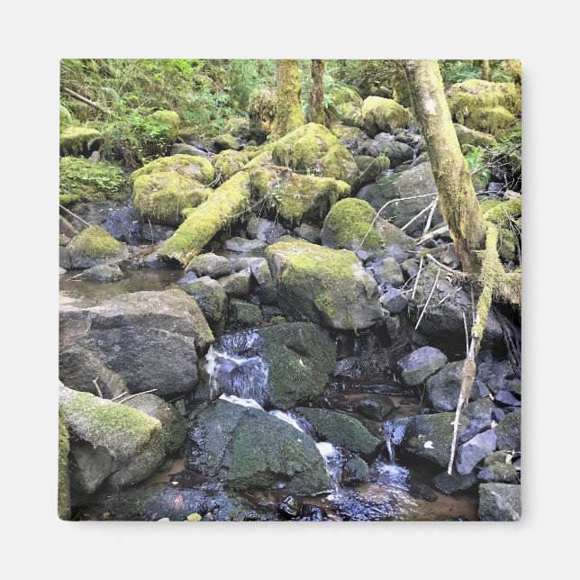 Hardy Creek, Oregon Magnet (Front)