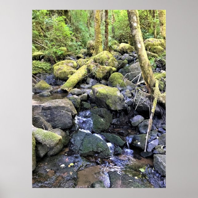 Hardy Creek, Oregon Poster (Front)