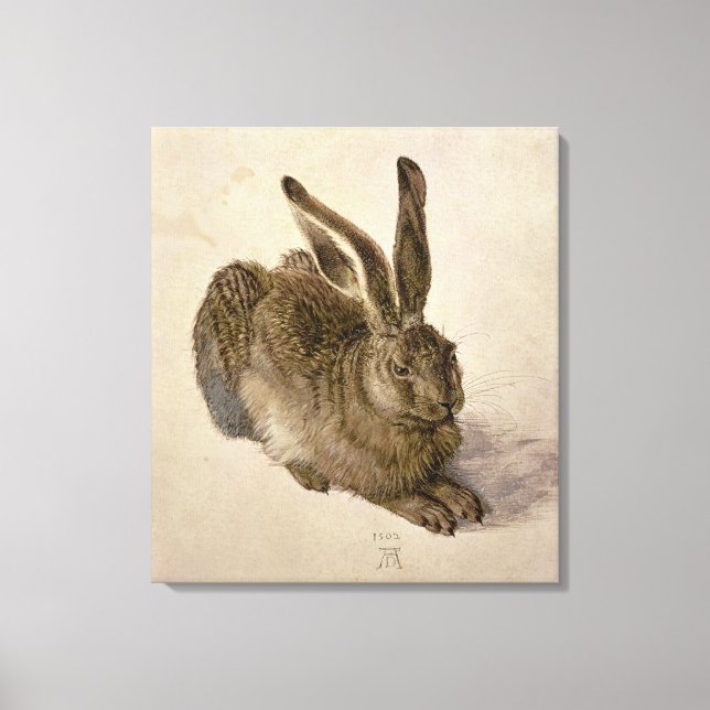 Hare, 1502 canvas print (Front)